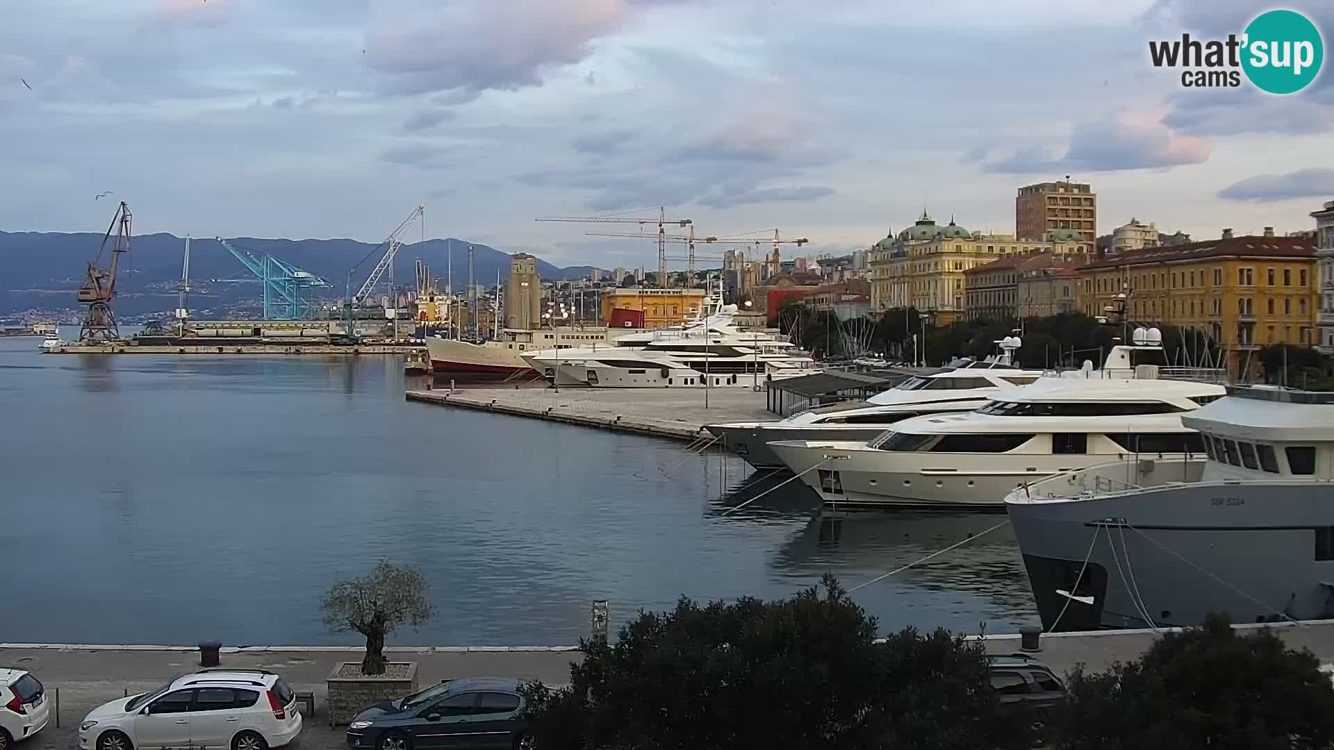 The Riva and Marina in Rijeka  – Live Webcam Croatia