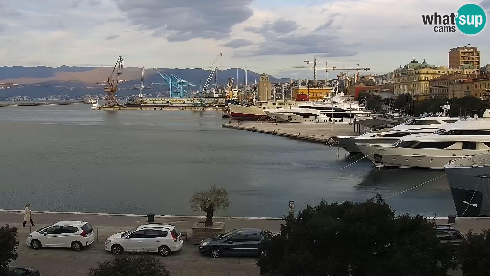 La Riva y Marina en Rijeka – Webcam en vivo Croacia
