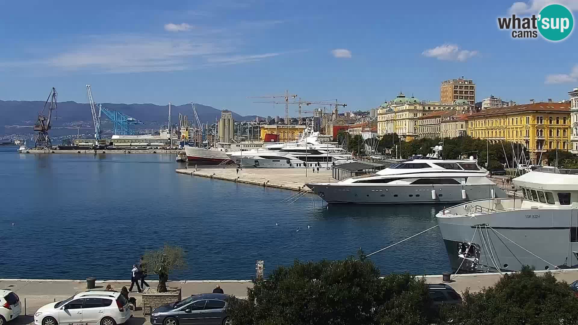 La Riva et Marina à Rijeka – Live Webcam Croatie