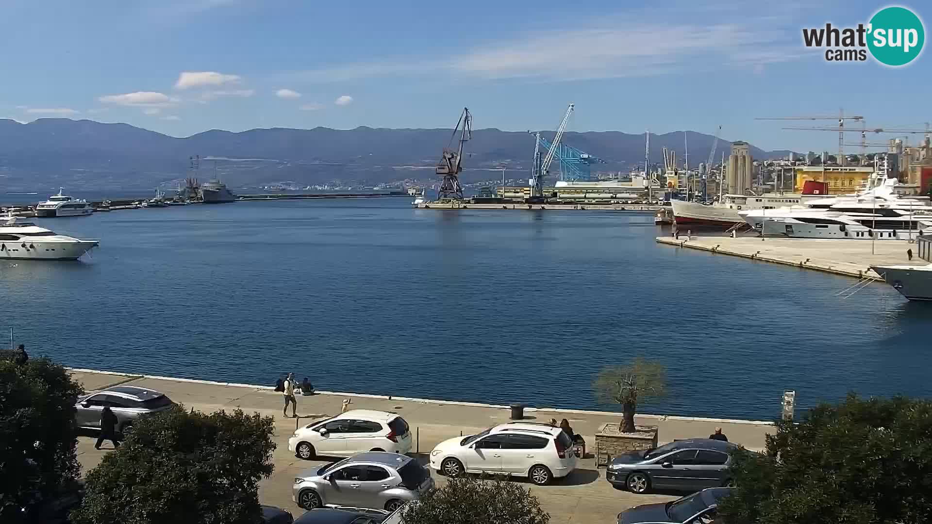 Riva in Marina v Reki – Spletna kamera v živo Hrvaška