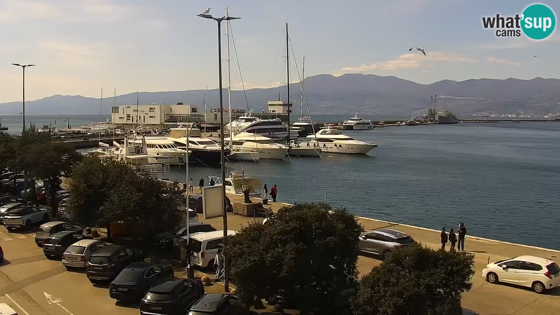 Riva in Marina v Reki – Spletna kamera v živo Hrvaška