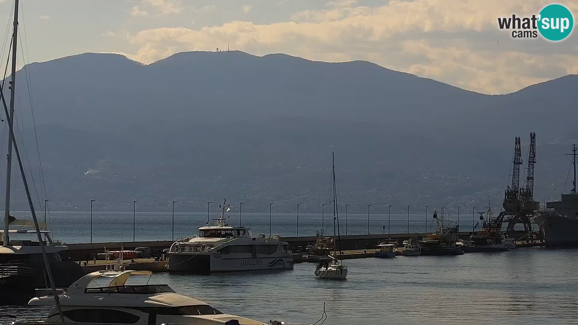Riva i Marina u Rijeci – Web kamera uživo u Hrvatskoj