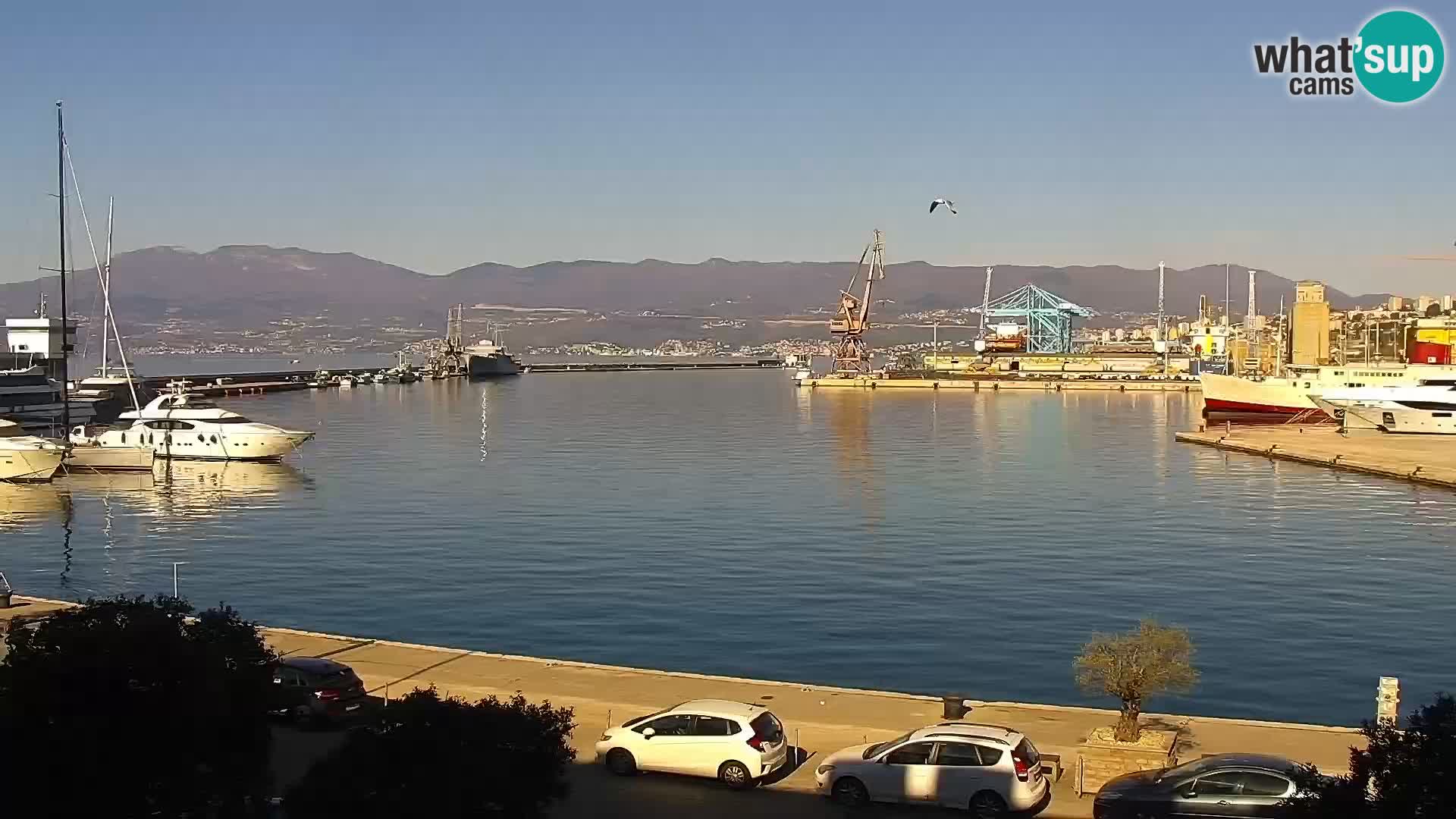 Riva i Marina u Rijeci – Web kamera uživo u Hrvatskoj