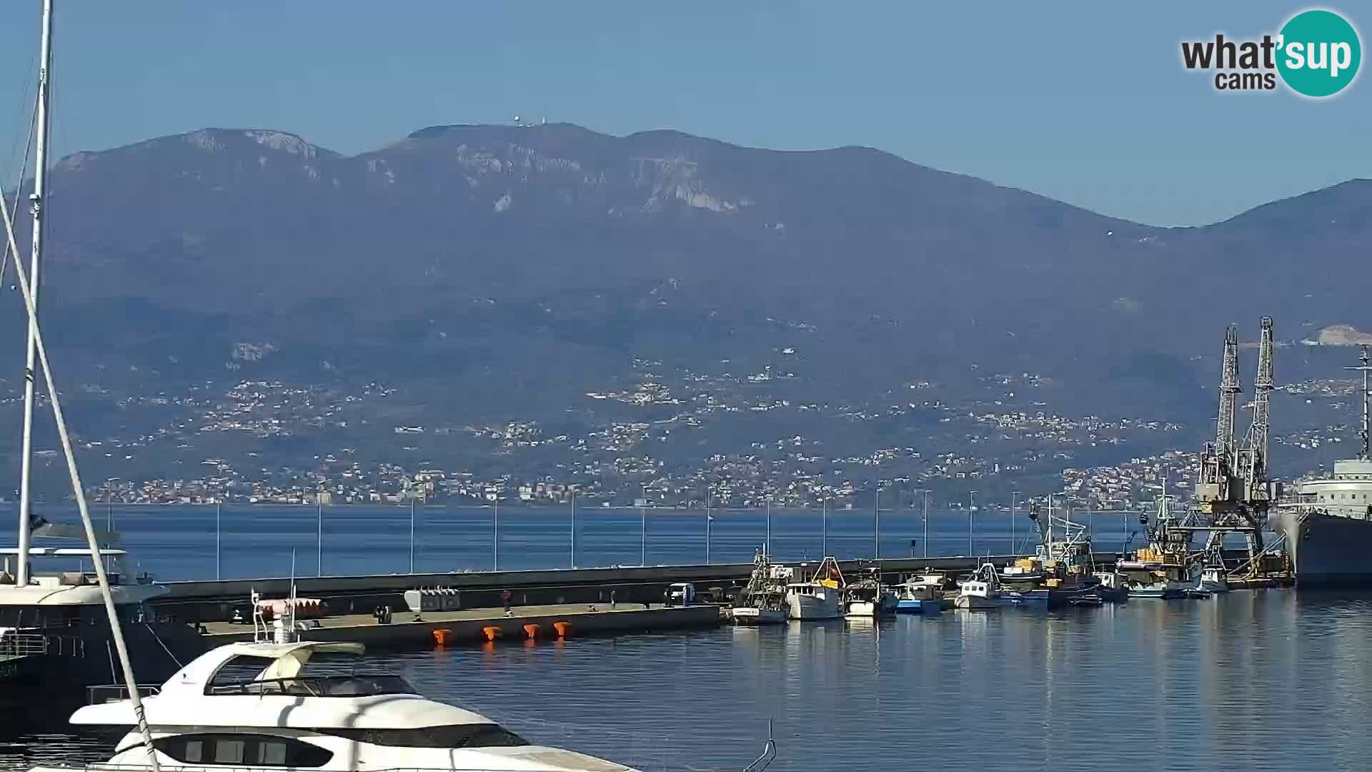La Riva et Marina à Rijeka – Live Webcam Croatie