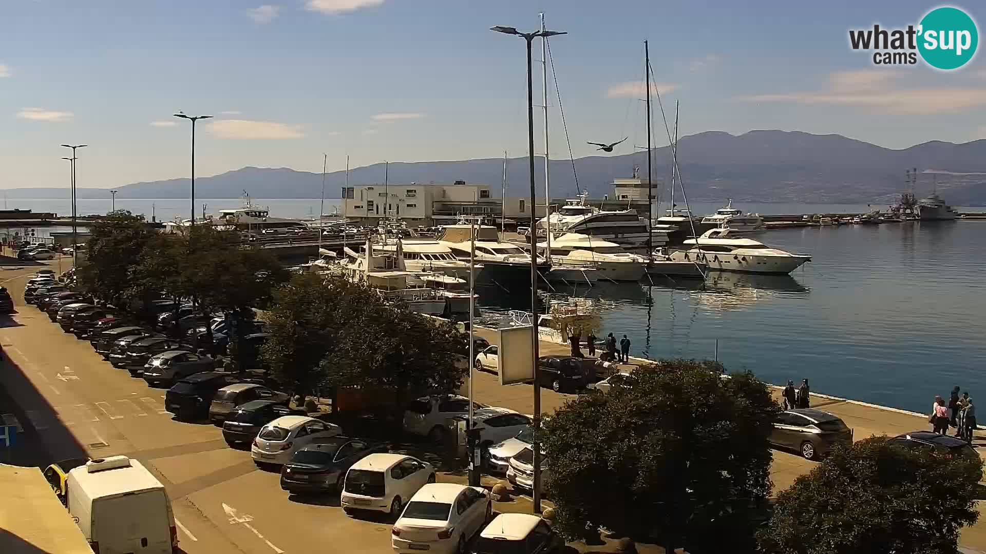 The Riva and Marina in Rijeka  – Live Webcam Croatia
