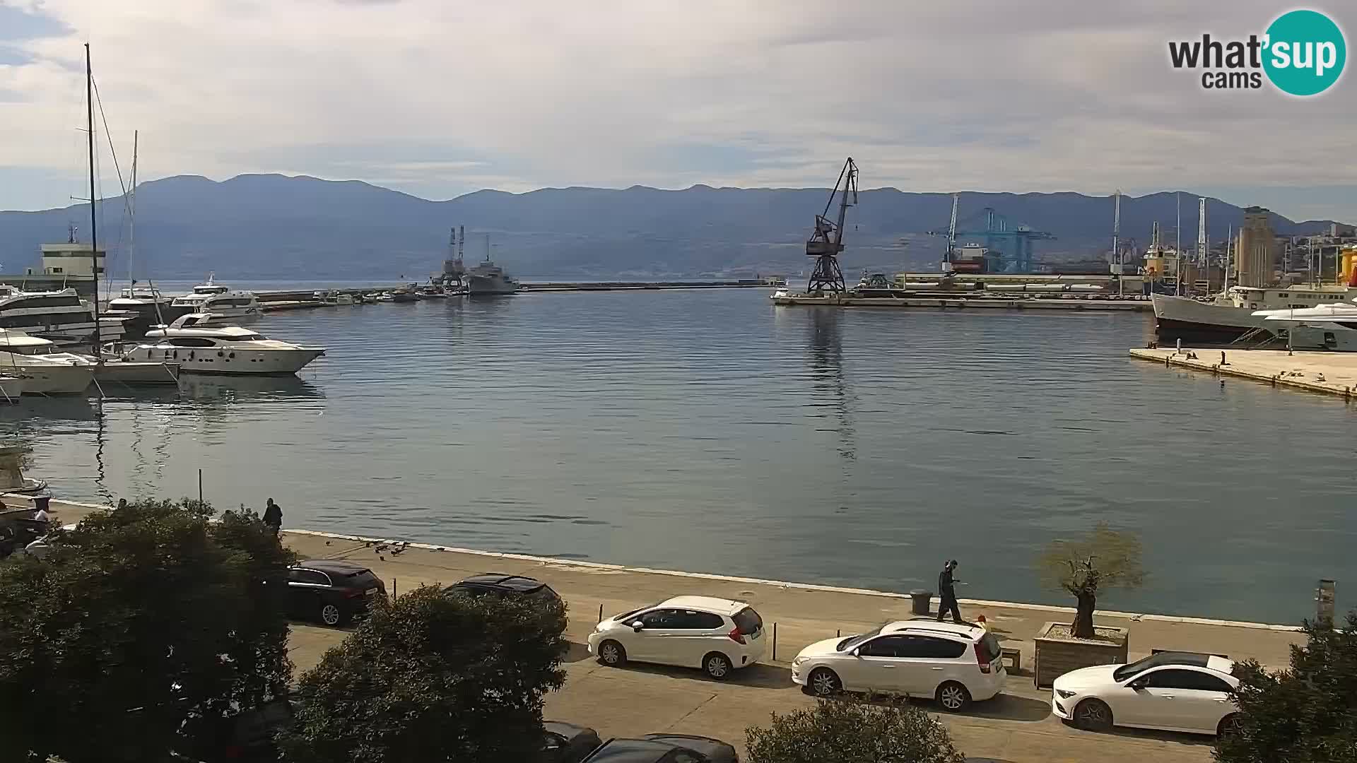 Riva i Marina u Rijeci – Web kamera uživo u Hrvatskoj