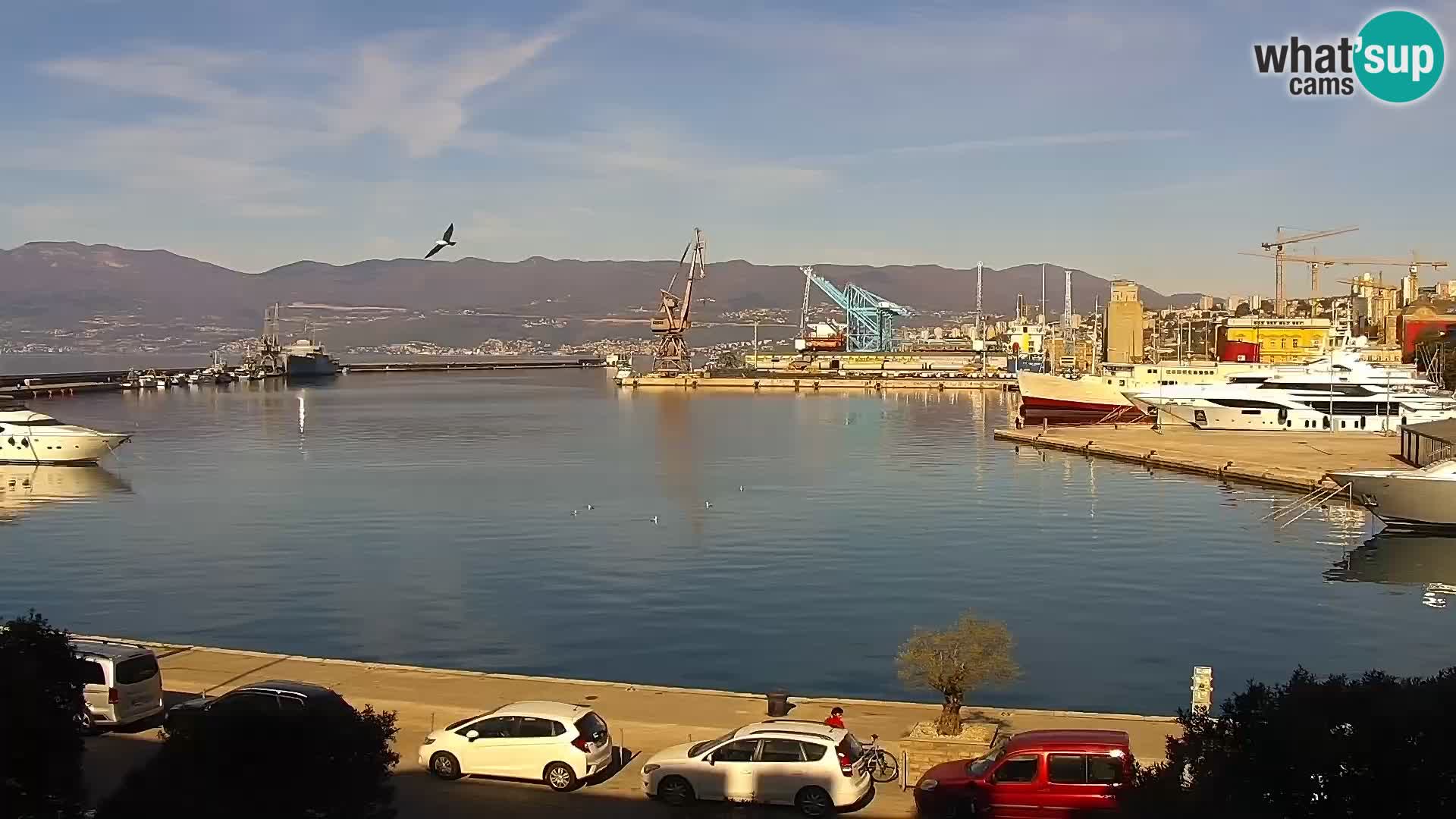 La Riva e la Marina a Rijeka (Fiume) – Live Webcam Croazia