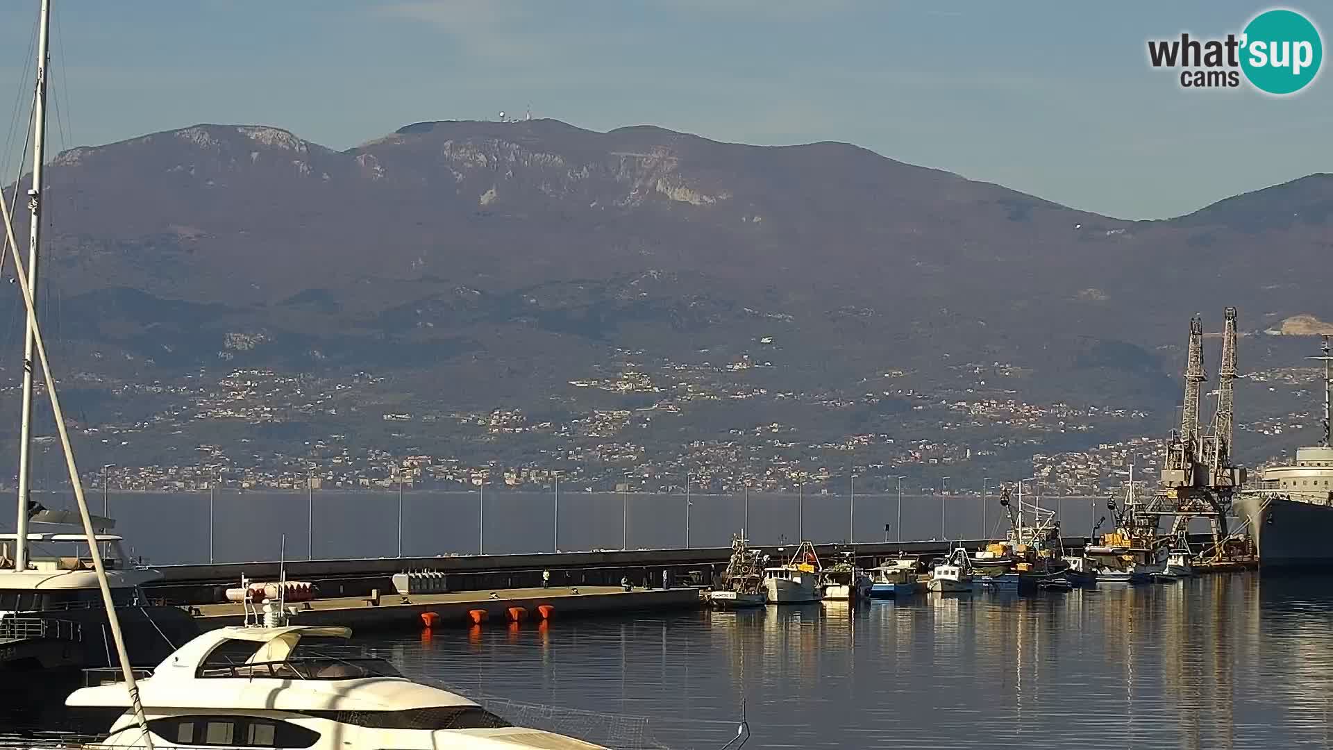 The Riva and Marina in Rijeka – Live Webcam Croatia