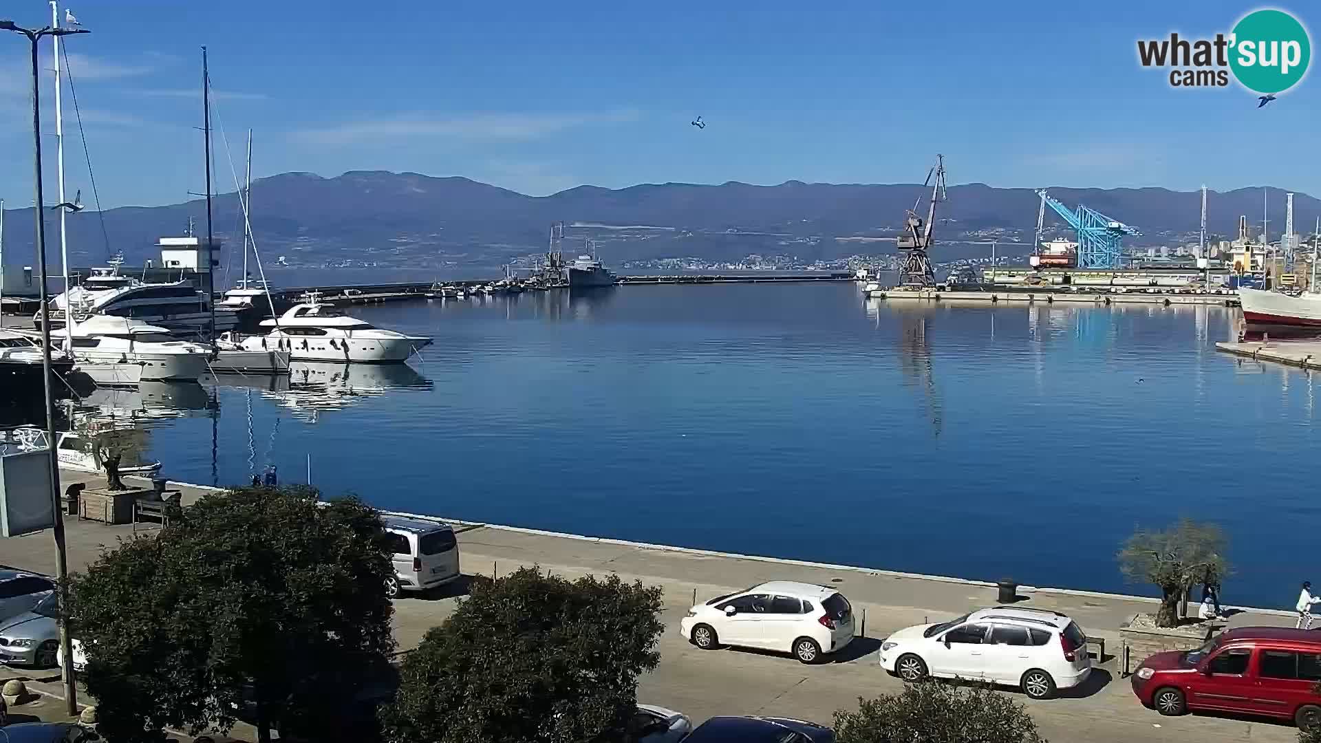 The Riva and Marina in Rijeka – Live Webcam Croatia
