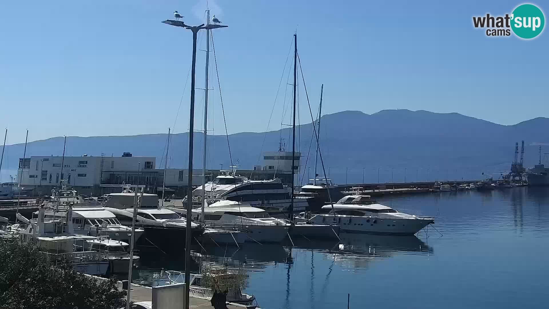 Die Riva und Marina in Rijeka – Live Webcam Kroatien