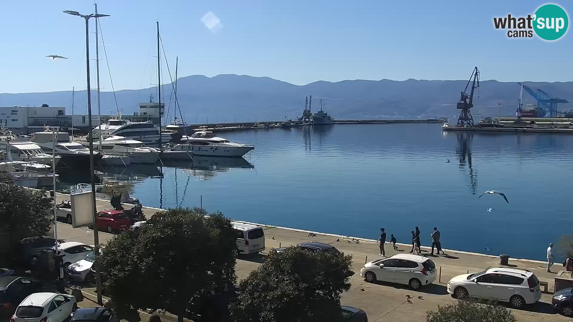 Riva i Marina u Rijeci – Web kamera uživo u Hrvatskoj