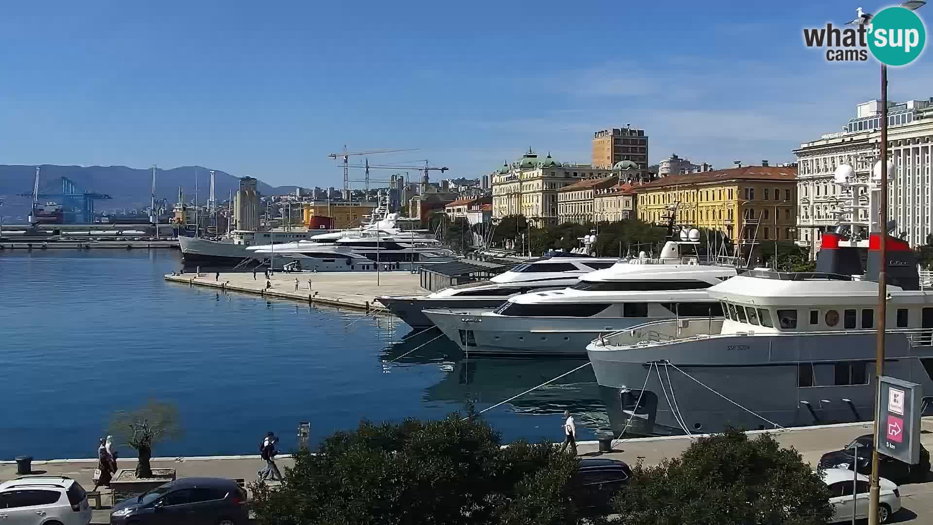 Riva i Marina u Rijeci – Web kamera uživo u Hrvatskoj