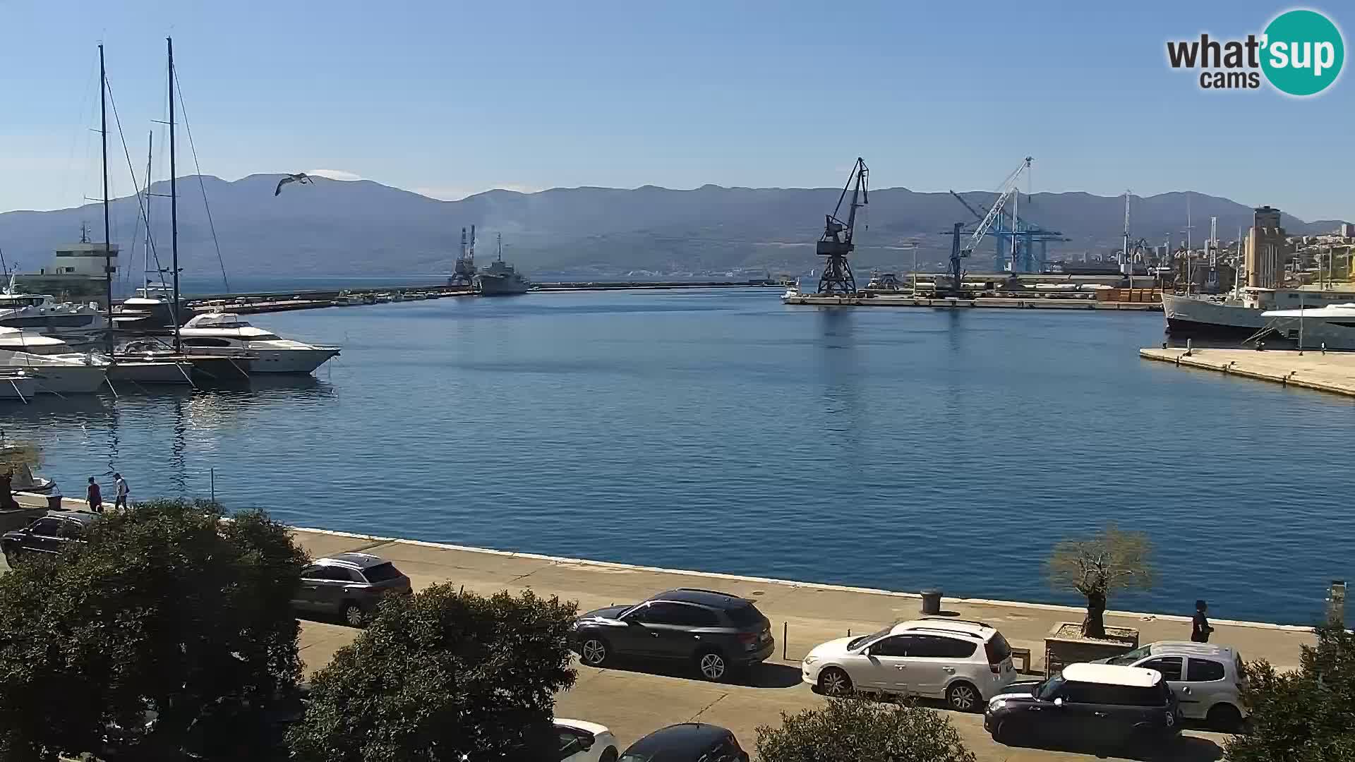La Riva et Marina à Rijeka – Live Webcam Croatie