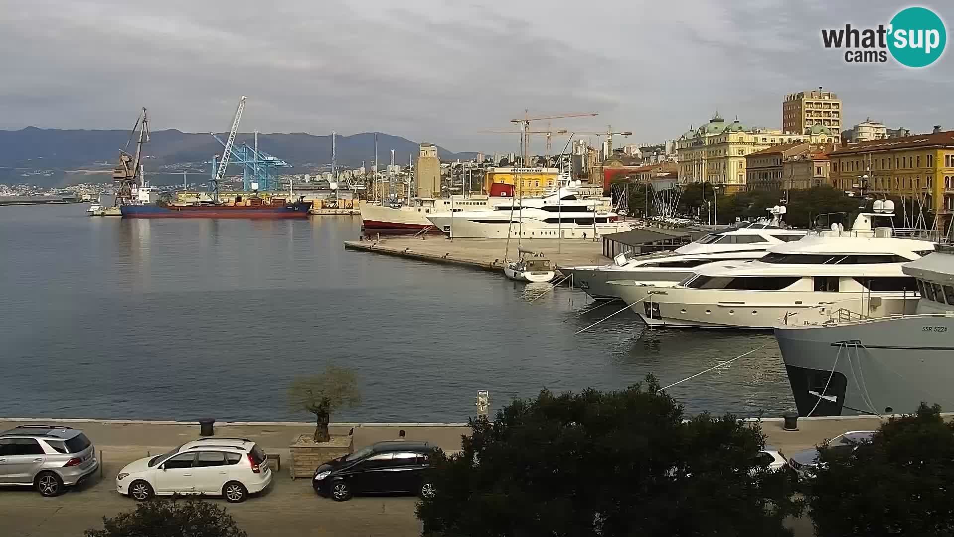 The Riva and Marina in Rijeka – Live Webcam Croatia