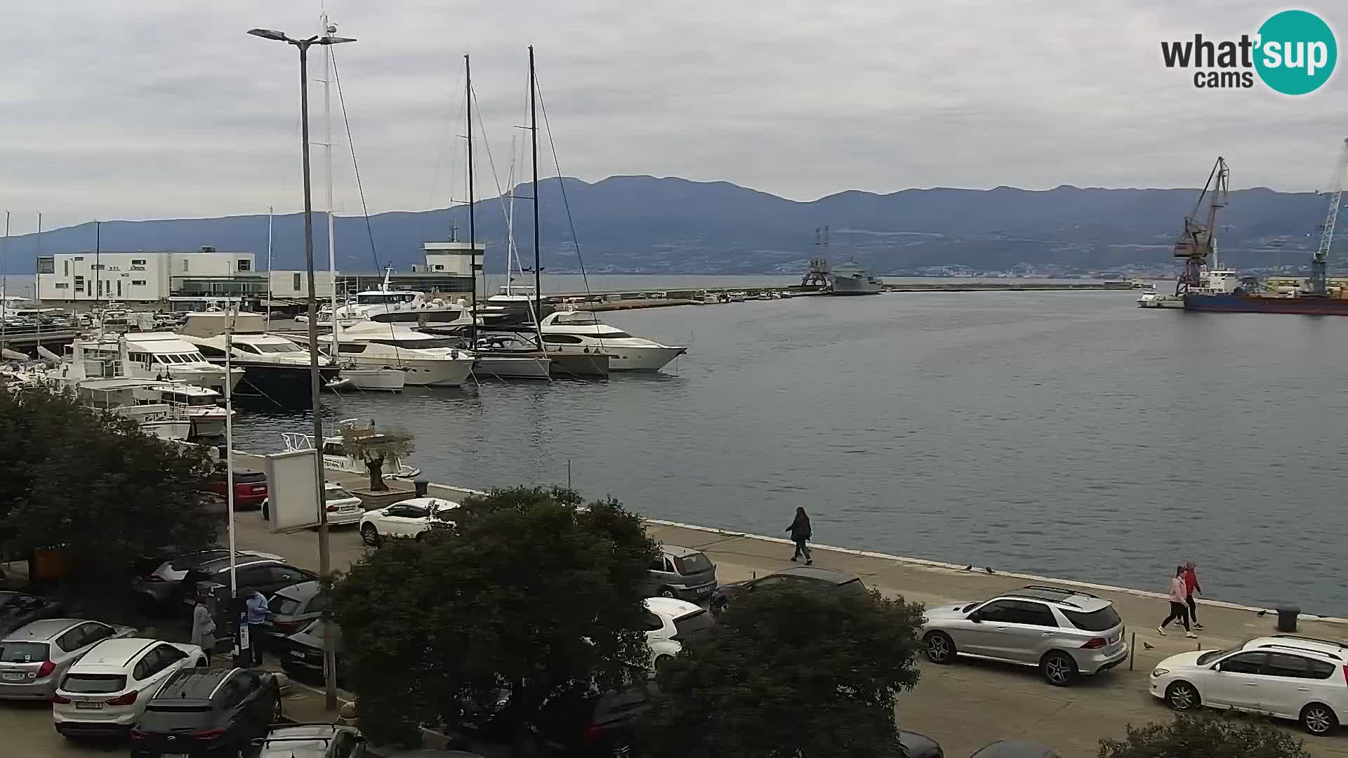Riva i Marina u Rijeci – Web kamera uživo u Hrvatskoj