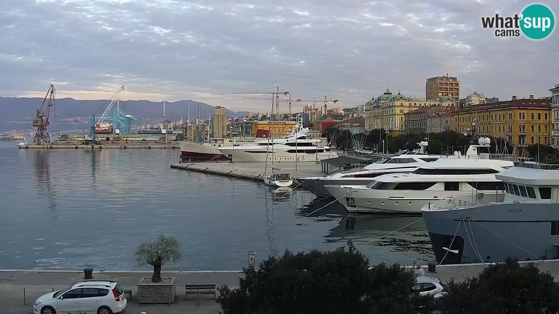 Riva i Marina u Rijeci – Web kamera uživo u Hrvatskoj