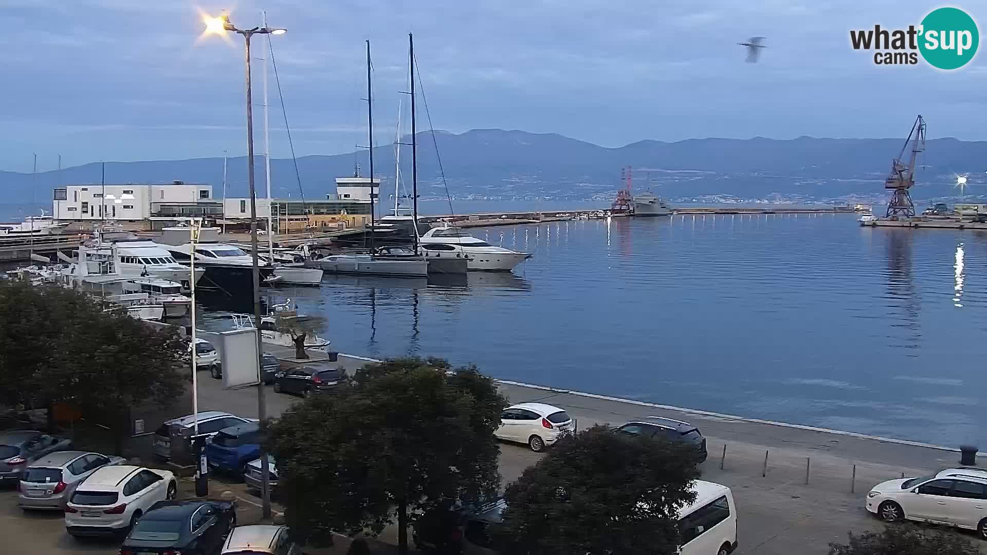 Die Riva und Marina in Rijeka – Live Webcam Kroatien