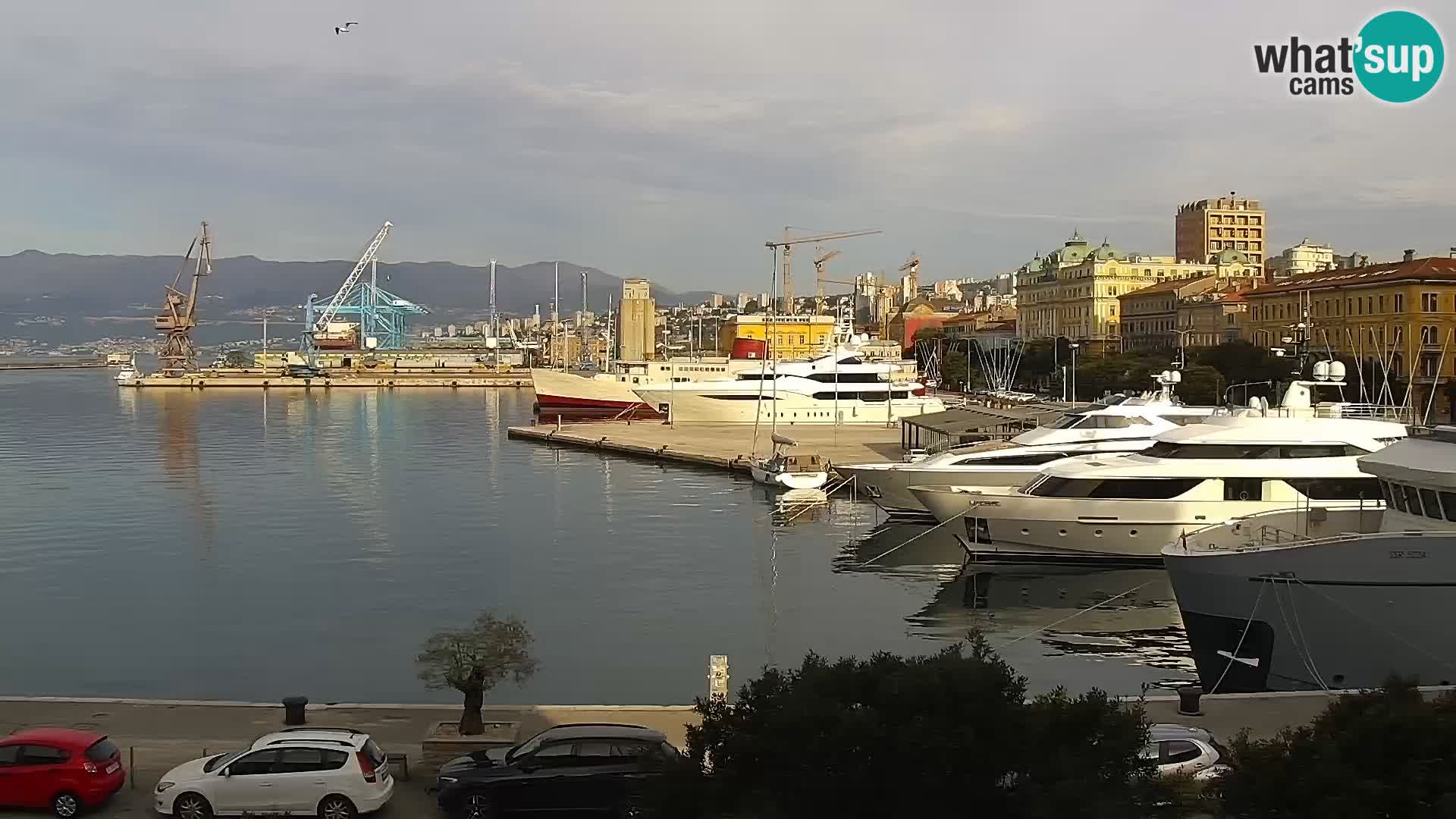 The Riva and Marina in Rijeka  – Live Webcam Croatia