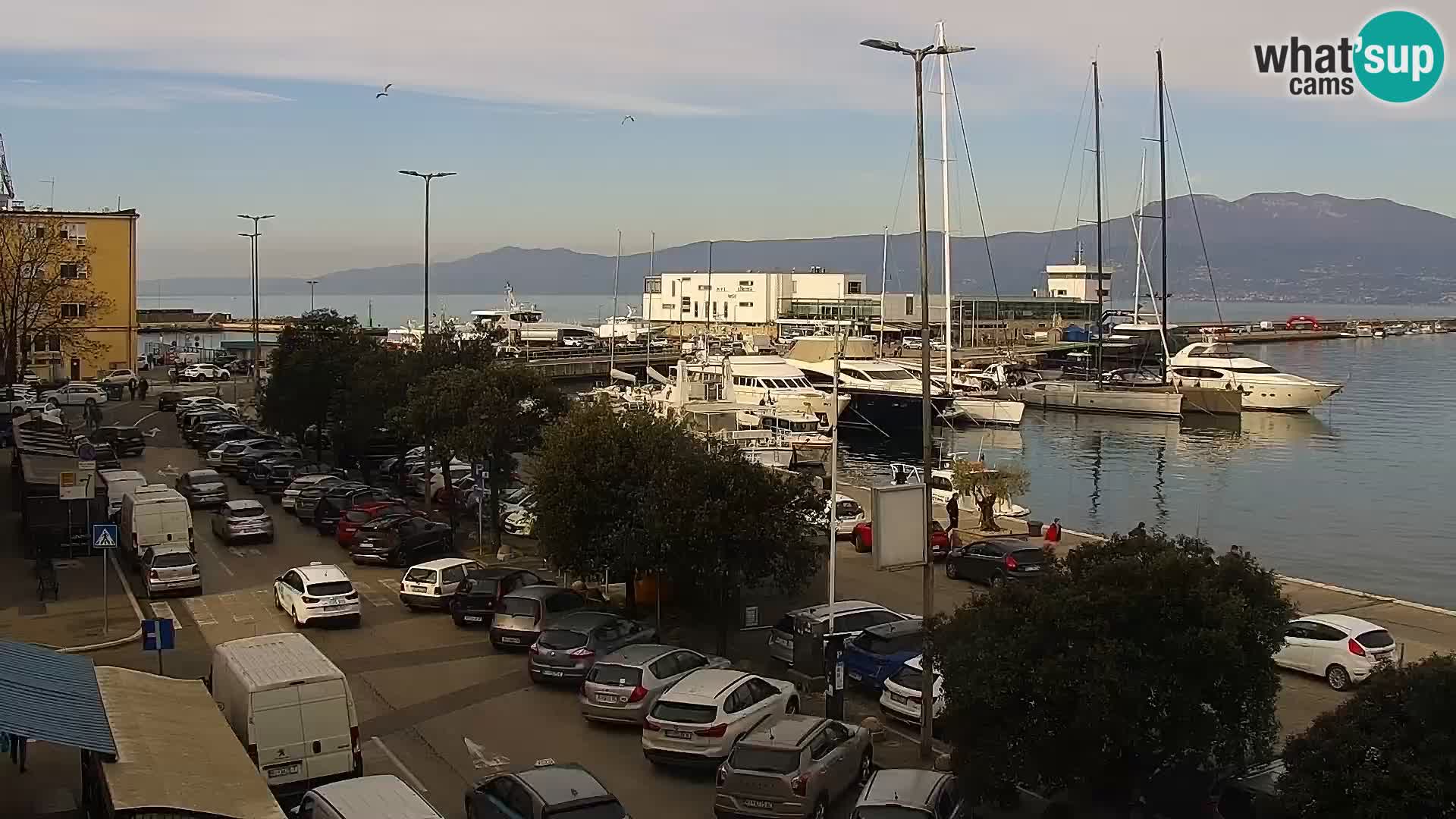 La Riva y Marina en Rijeka – Webcam en vivo Croacia
