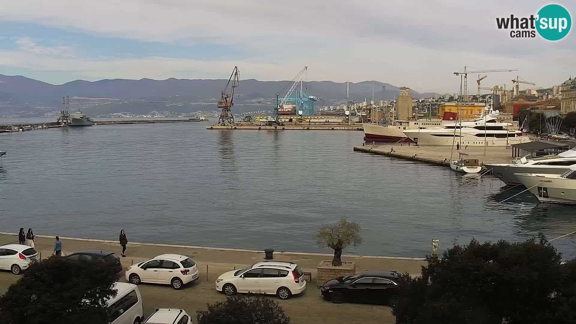 Riva i Marina u Rijeci – Web kamera uživo u Hrvatskoj