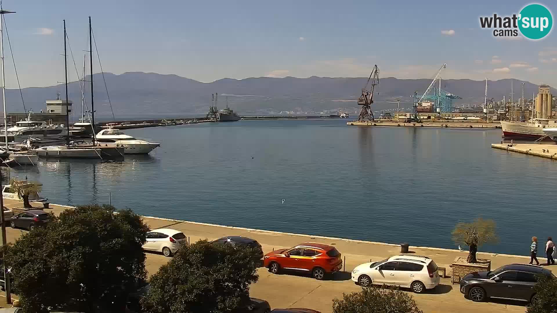 Riva in Marina v Reki – Spletna kamera v živo Hrvaška