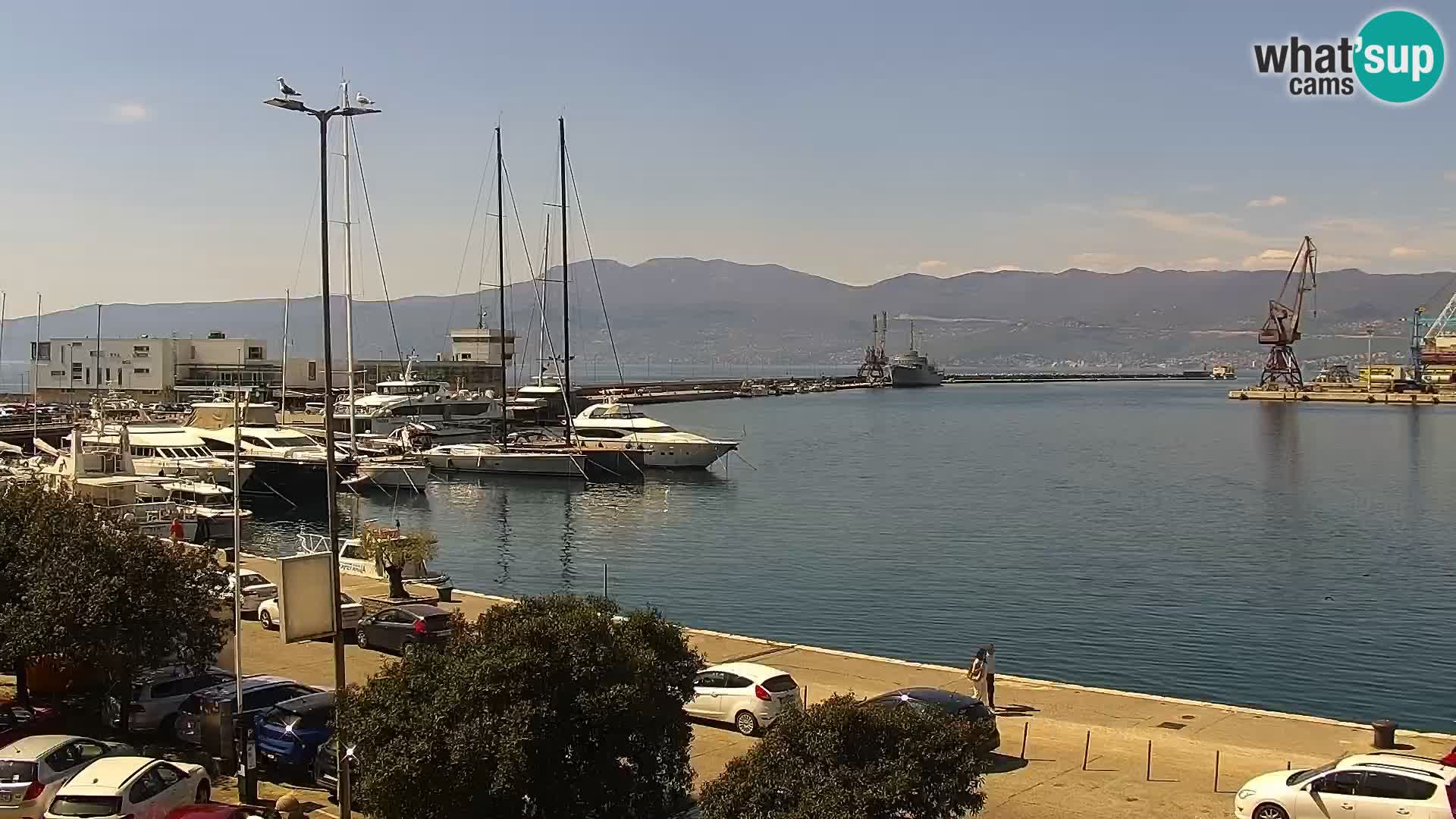 Die Riva und Marina in Rijeka – Live Webcam Kroatien