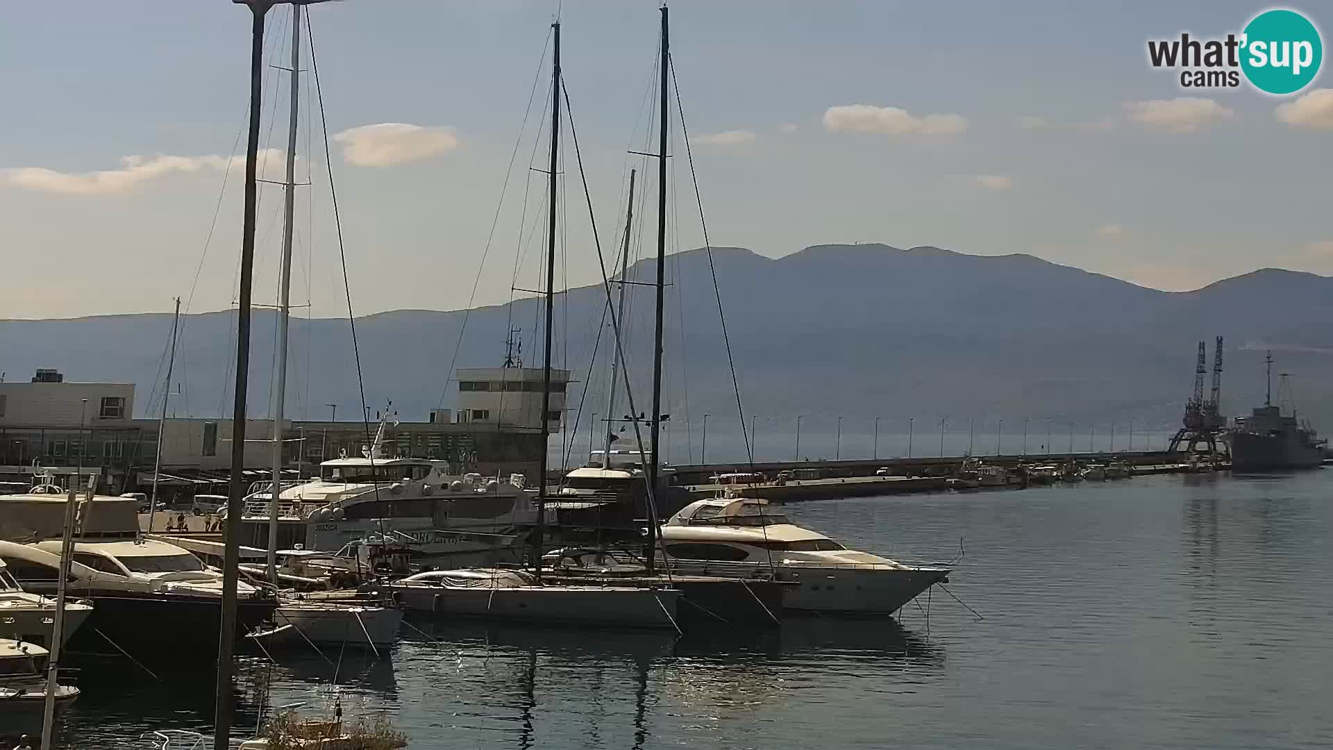 Riva i Marina u Rijeci – Web kamera uživo u Hrvatskoj