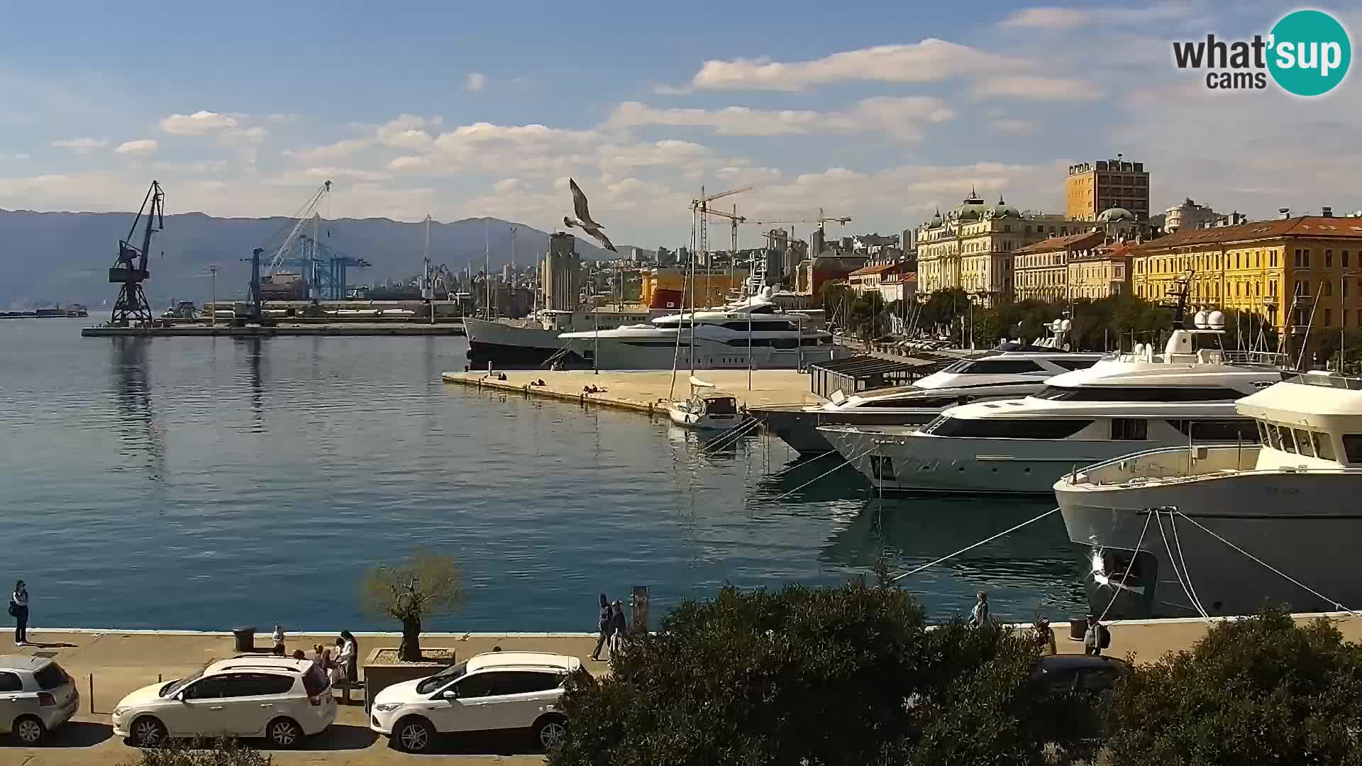 La Riva y Marina en Rijeka – Webcam en vivo Croacia