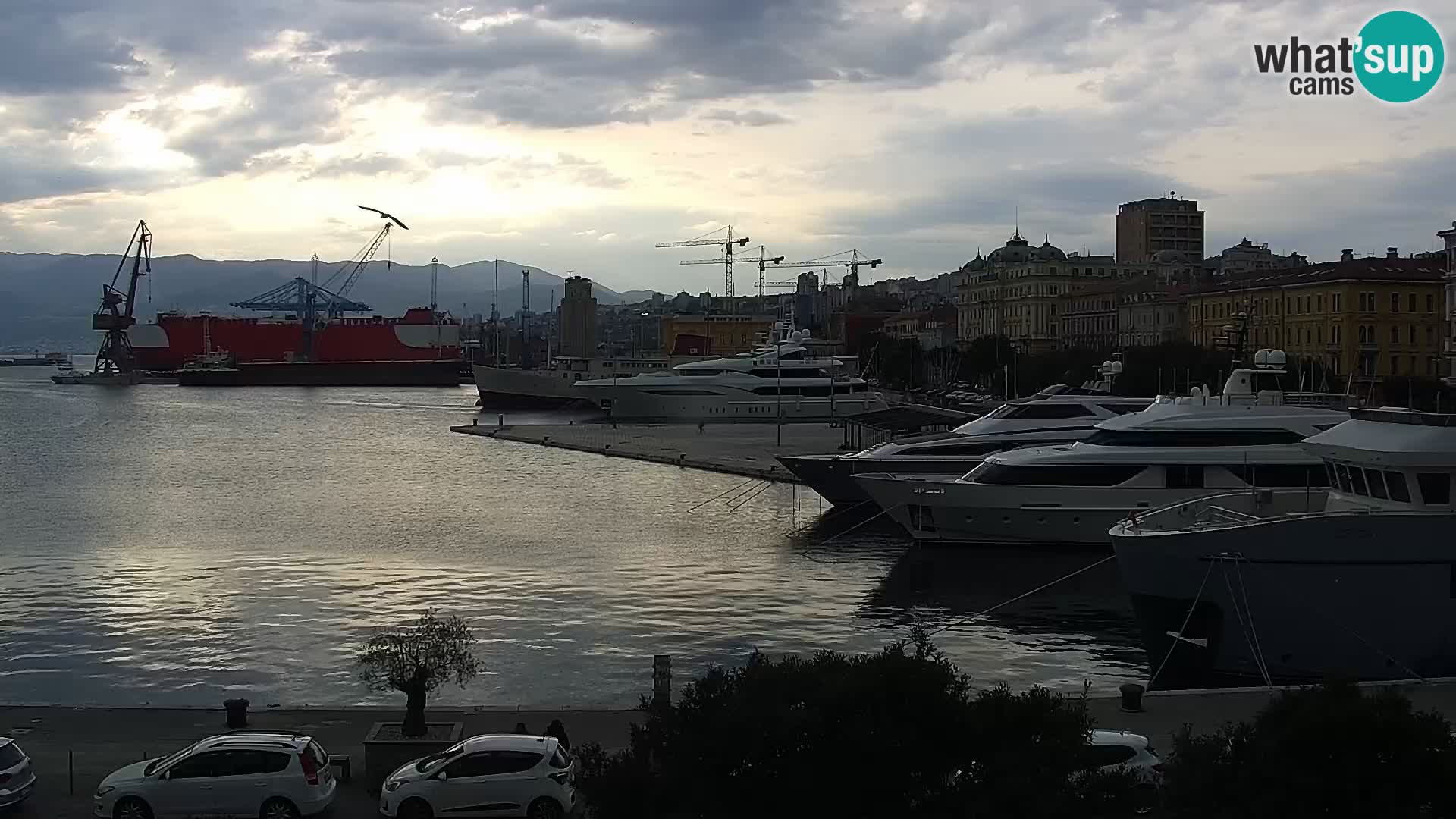 Riva i Marina u Rijeci – Web kamera uživo u Hrvatskoj