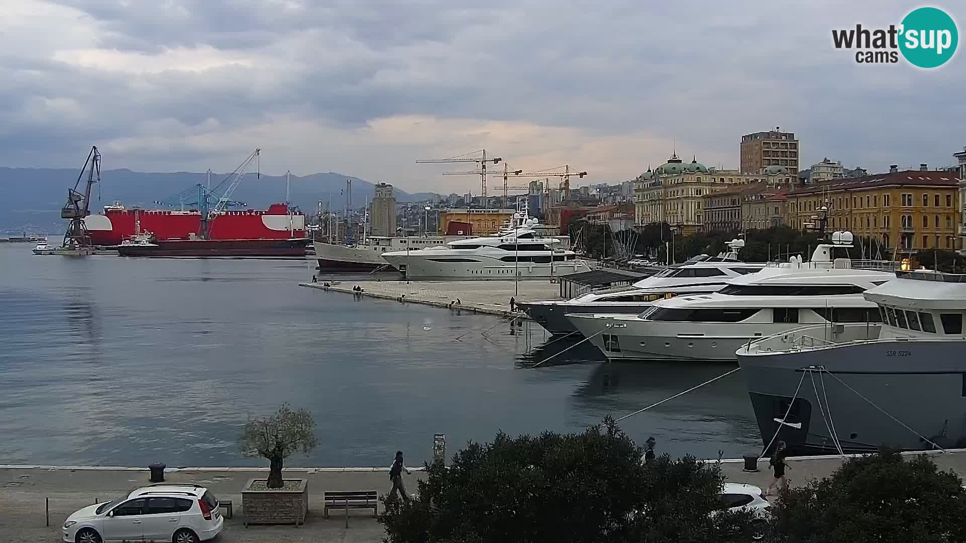 Riva i Marina u Rijeci – Web kamera uživo u Hrvatskoj