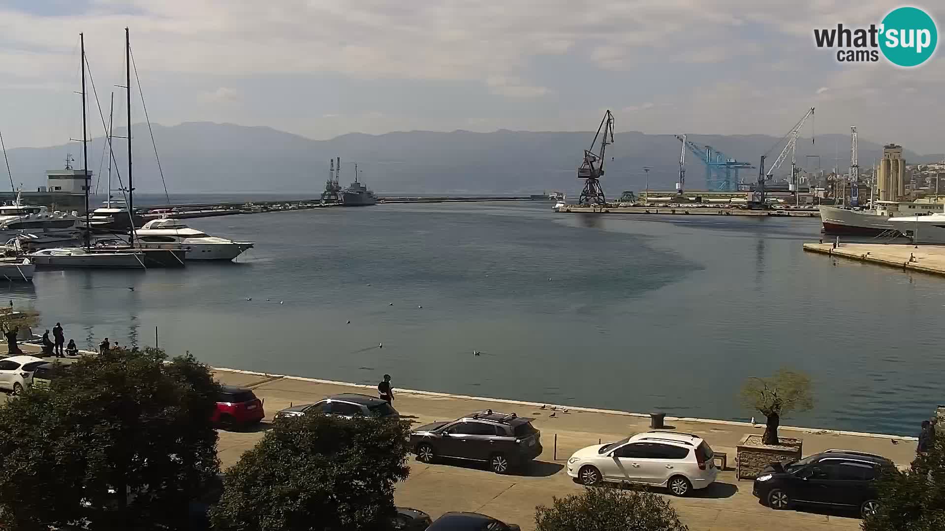 La Riva y Marina en Rijeka – Webcam en vivo Croacia