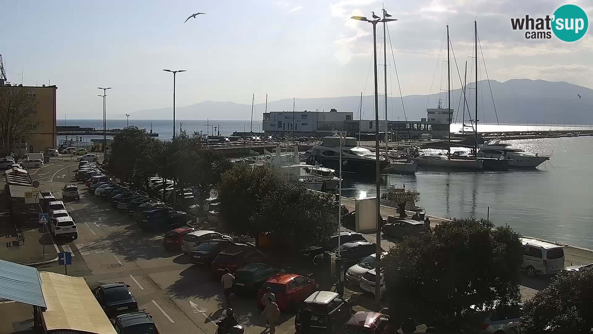 Riva i Marina u Rijeci – Web kamera uživo u Hrvatskoj
