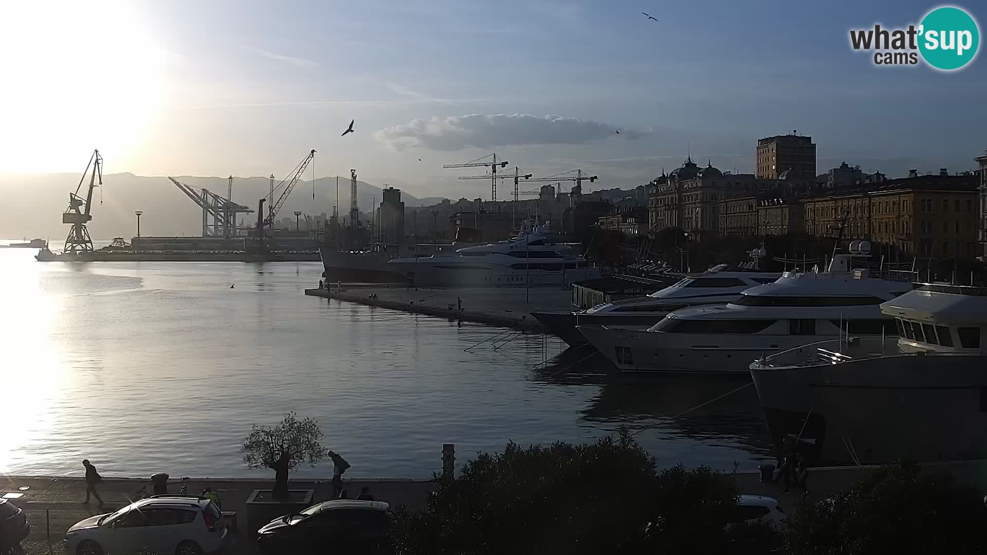 Riva in Marina v Reki – Spletna kamera v živo Hrvaška