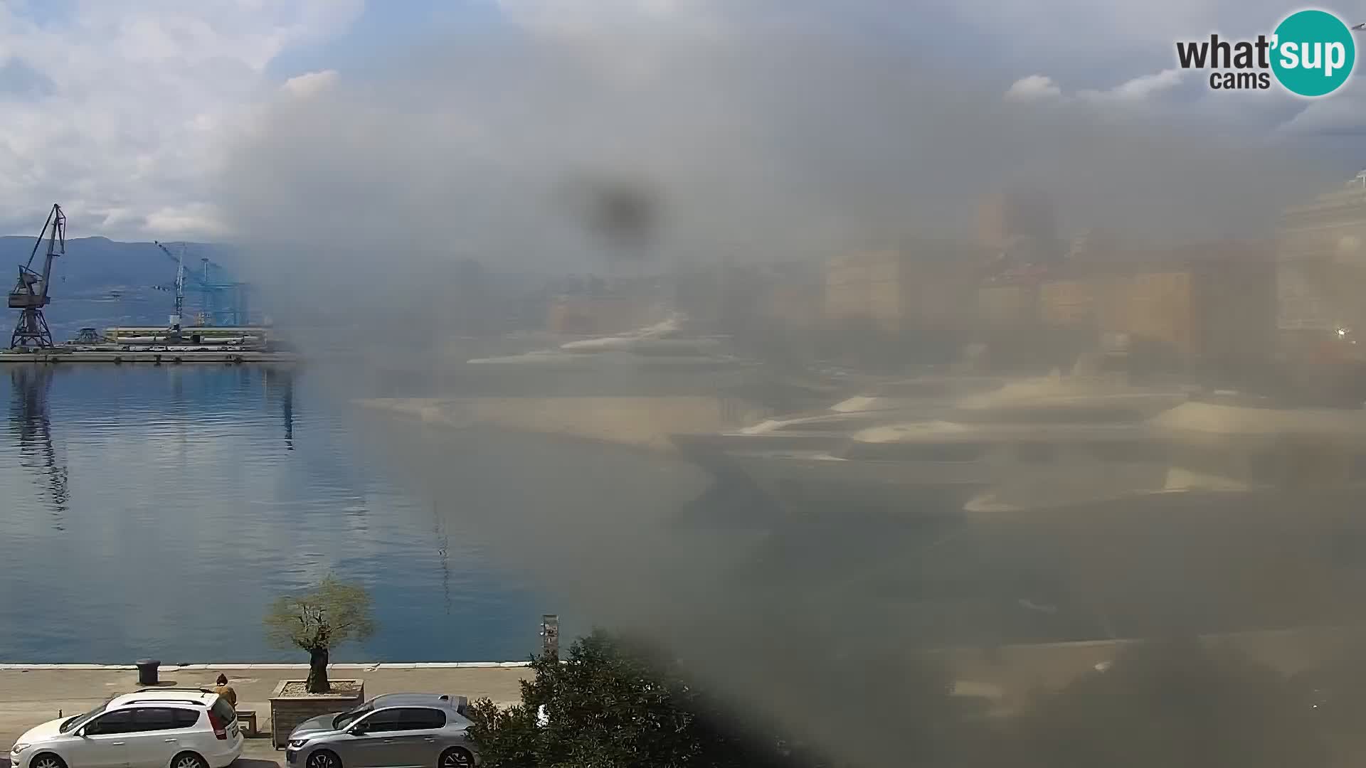 Riva i Marina u Rijeci – Web kamera uživo u Hrvatskoj