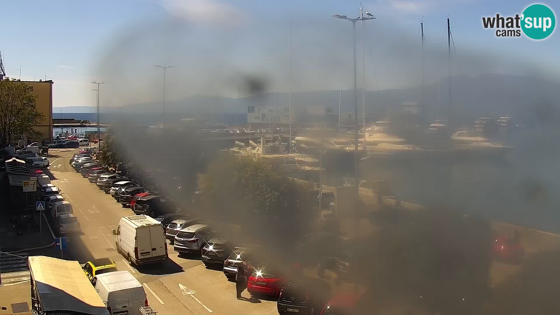 The Riva and Marina in Rijeka  – Live Webcam Croatia