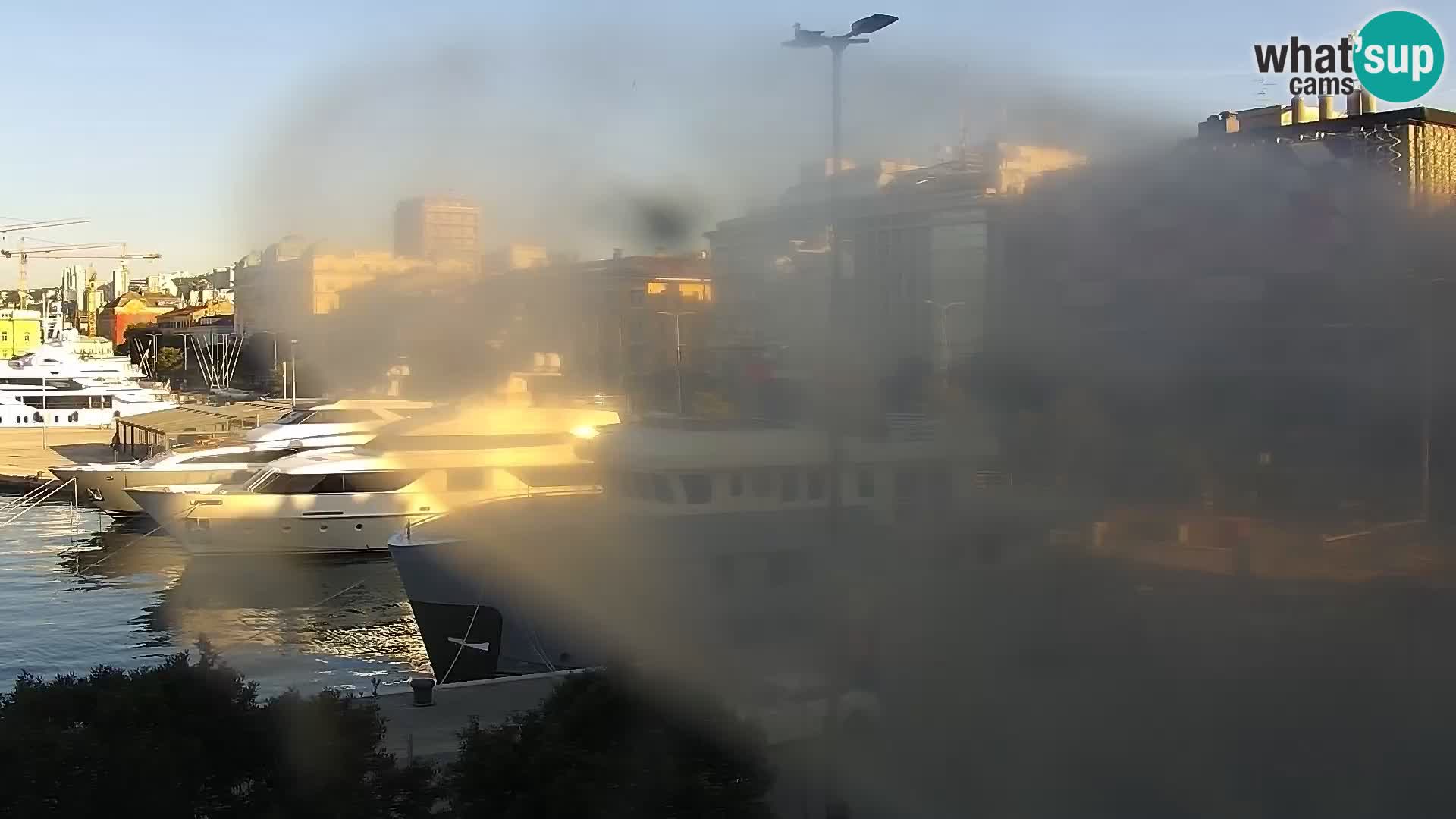 La Riva et Marina à Rijeka – Live Webcam Croatie