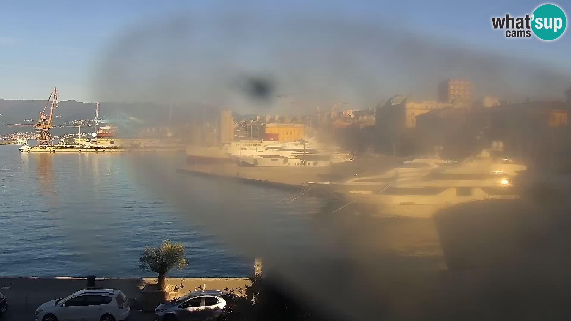 Riva i Marina u Rijeci – Web kamera uživo u Hrvatskoj