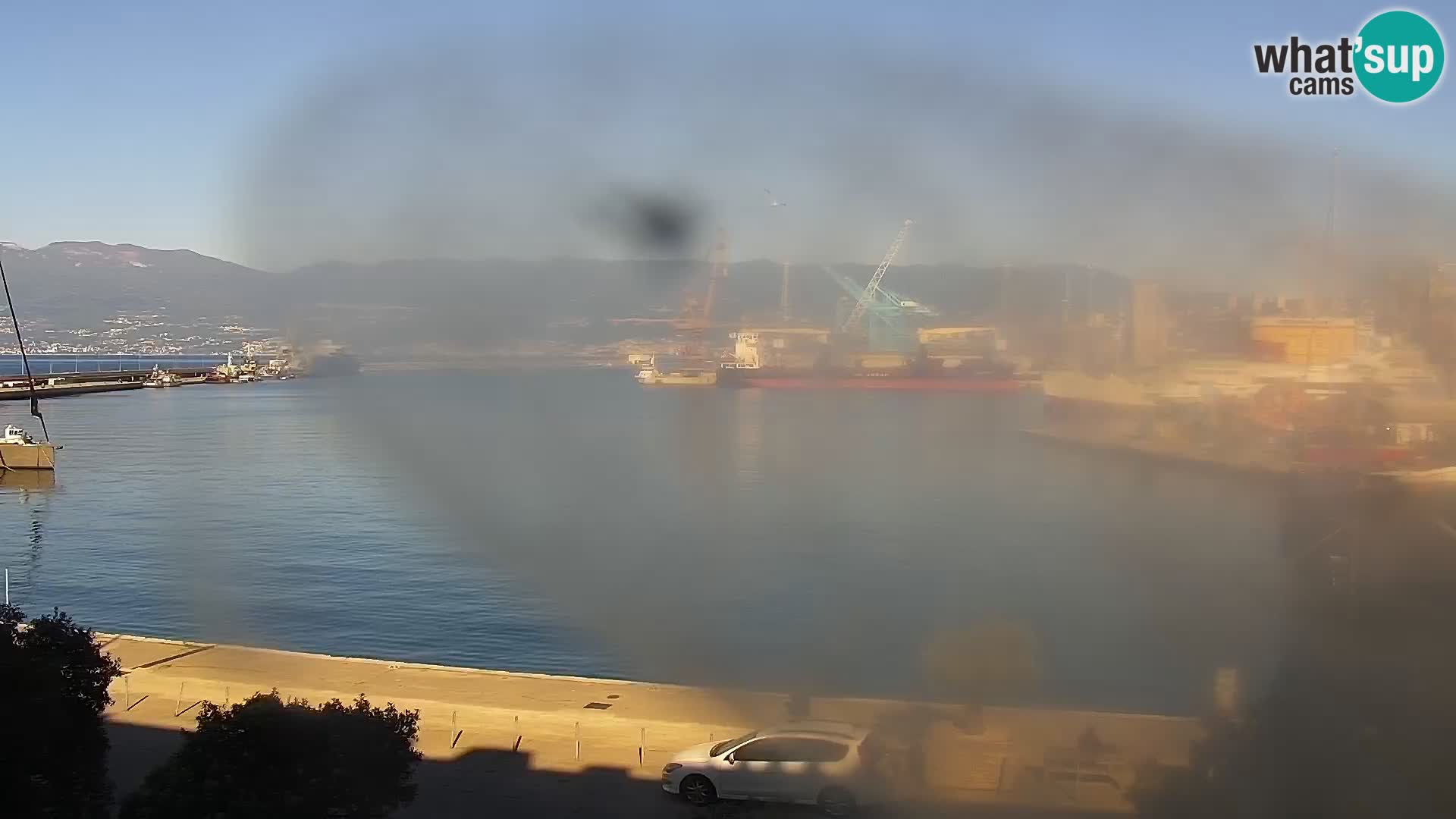 Riva i Marina u Rijeci – Web kamera uživo u Hrvatskoj