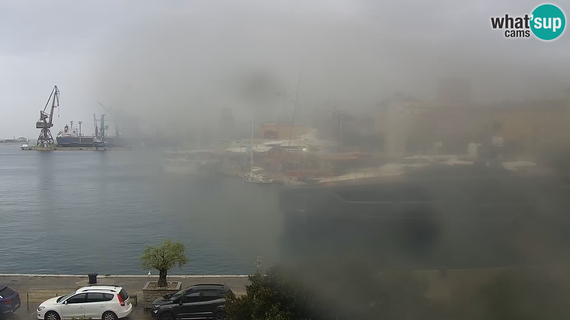 Die Riva und Marina in Rijeka – Live Webcam Kroatien