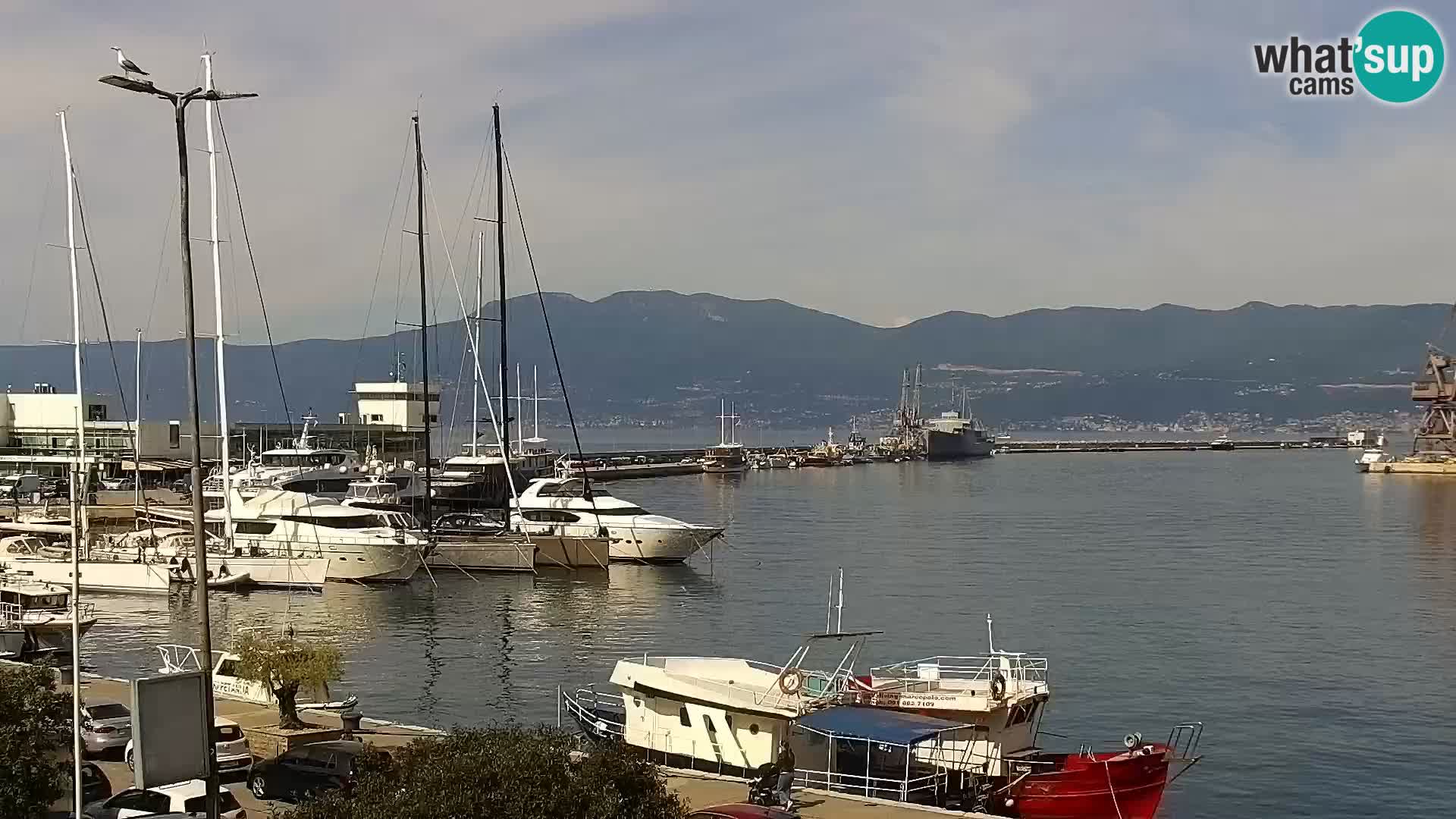 La Riva y Marina en Rijeka – Webcam en vivo Croacia