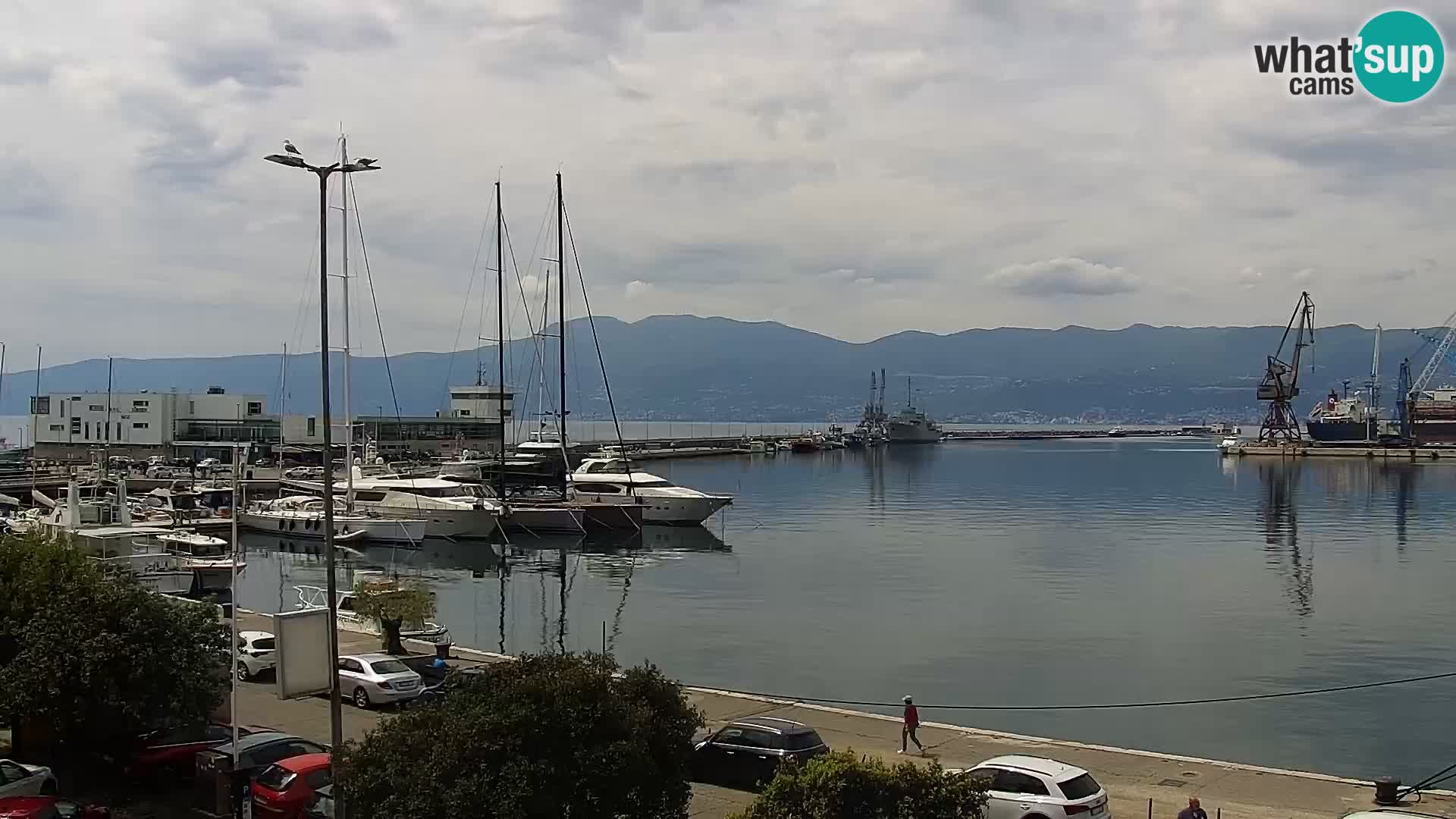 Riva in Marina v Reki – Spletna kamera v živo Hrvaška