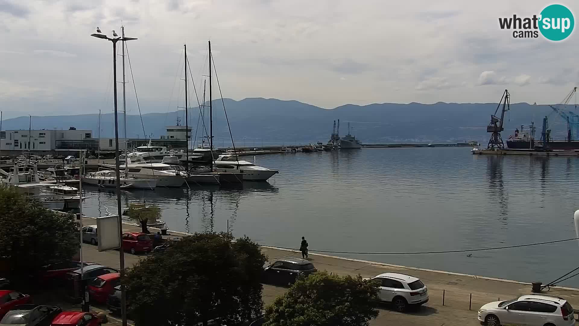 Riva in Marina v Reki – Spletna kamera v živo Hrvaška