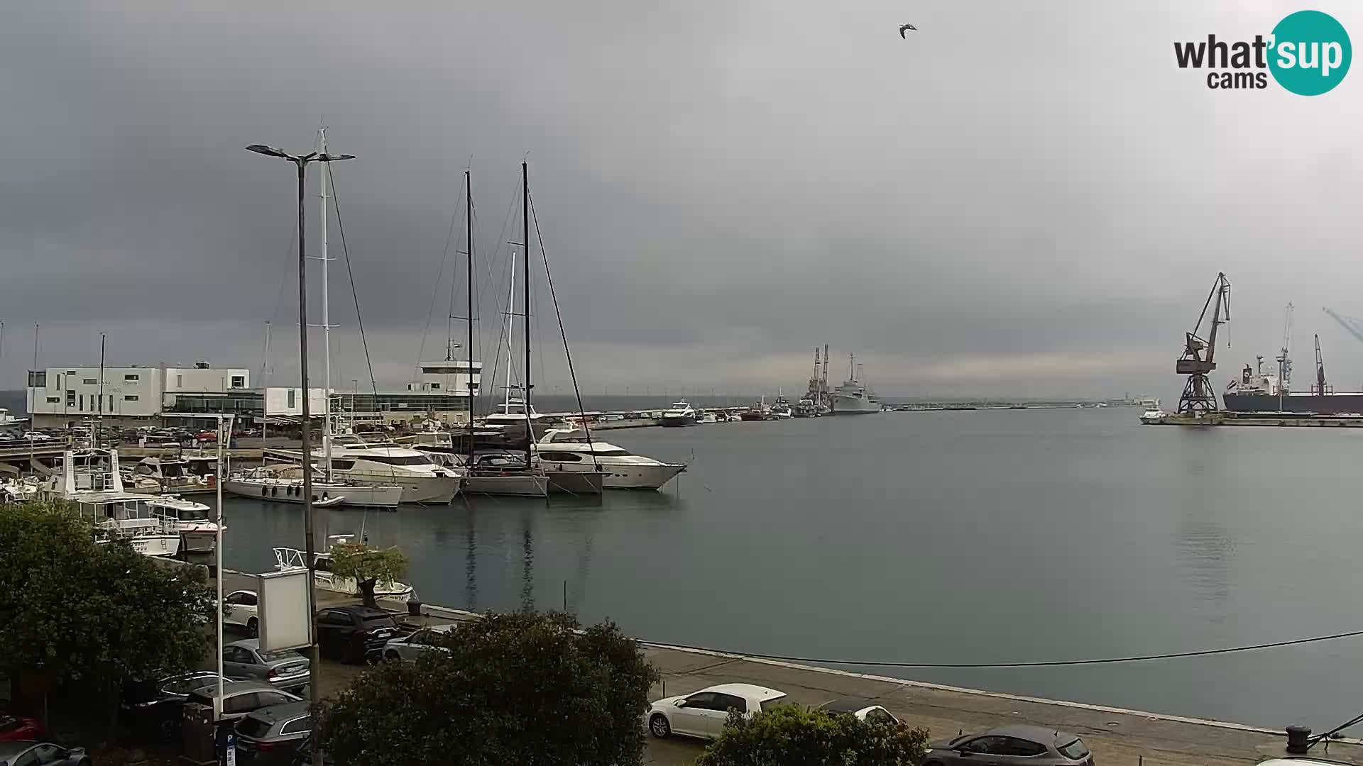Riva in Marina v Reki – Spletna kamera v živo Hrvaška