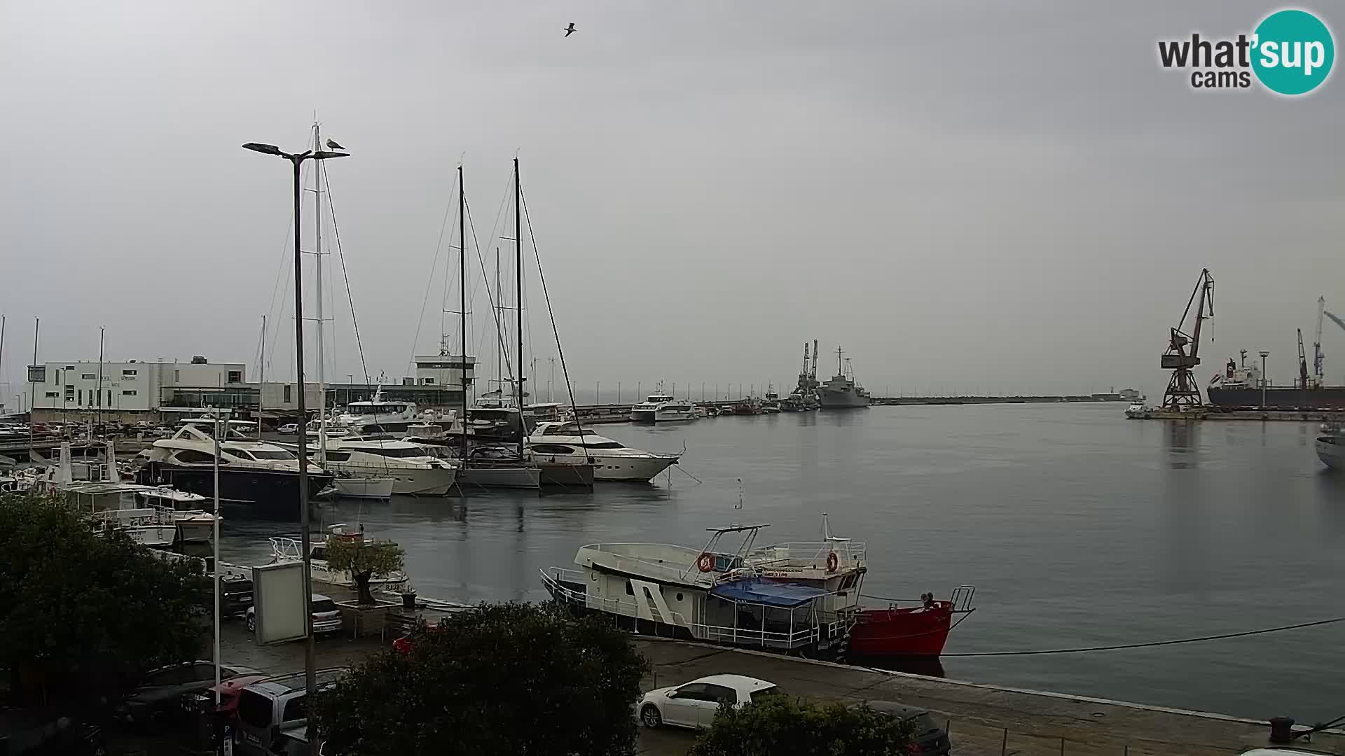La Riva et Marina à Rijeka – Live Webcam Croatie