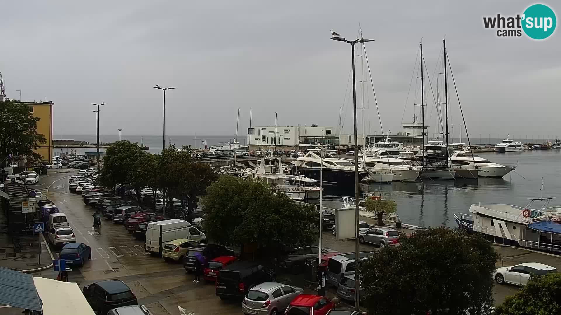Riva in Marina v Reki – Spletna kamera v živo Hrvaška