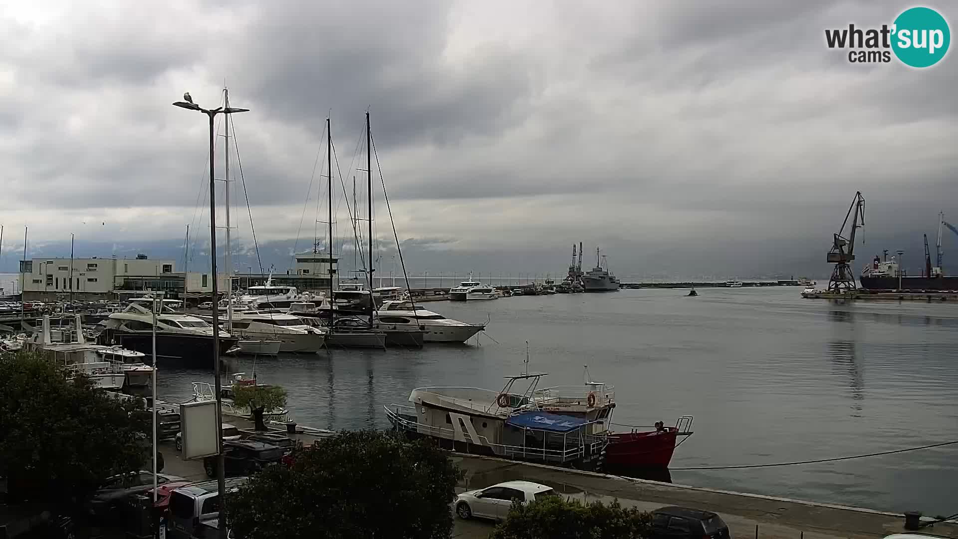 Riva in Marina v Reki – Spletna kamera v živo Hrvaška