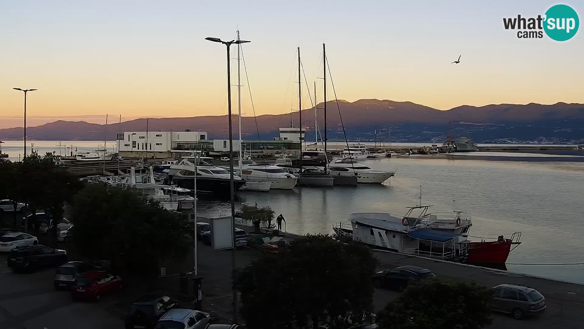 The Riva and Marina in Rijeka  – Live Webcam Croatia