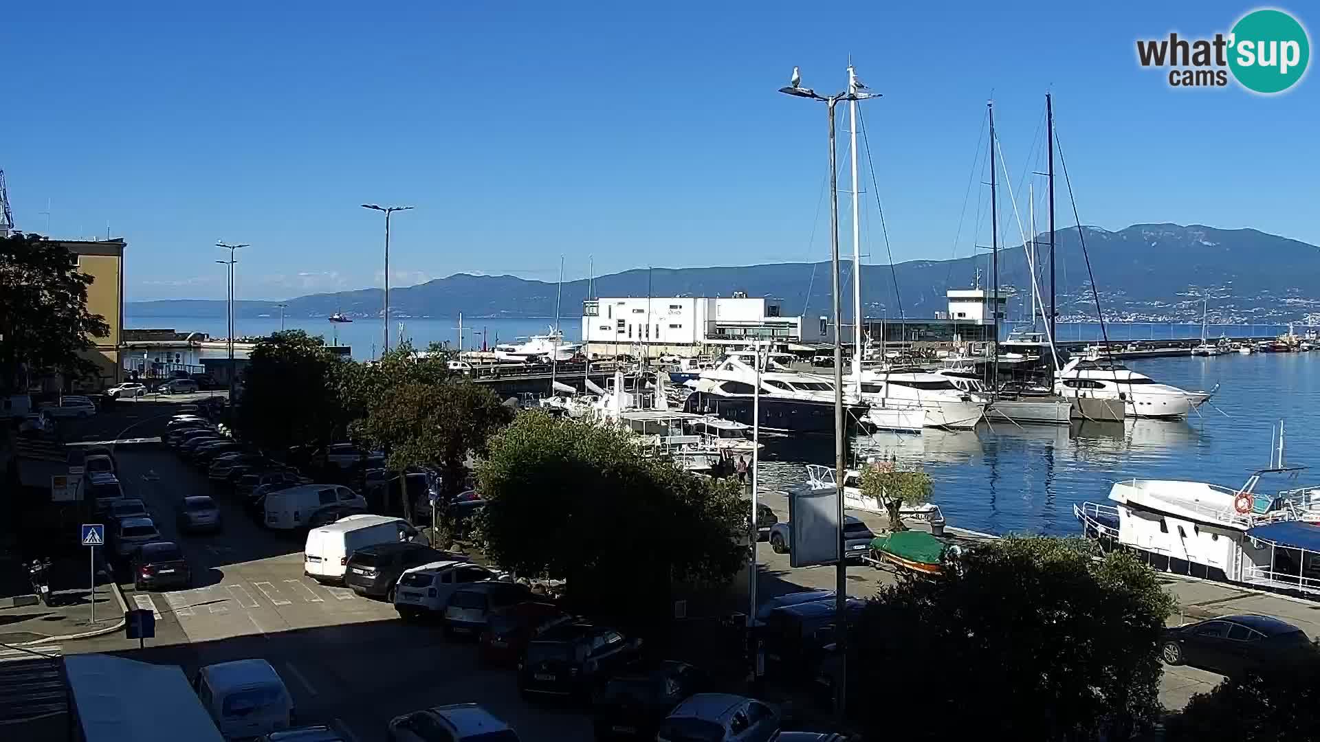 La Riva et Marina à Rijeka – Live Webcam Croatie