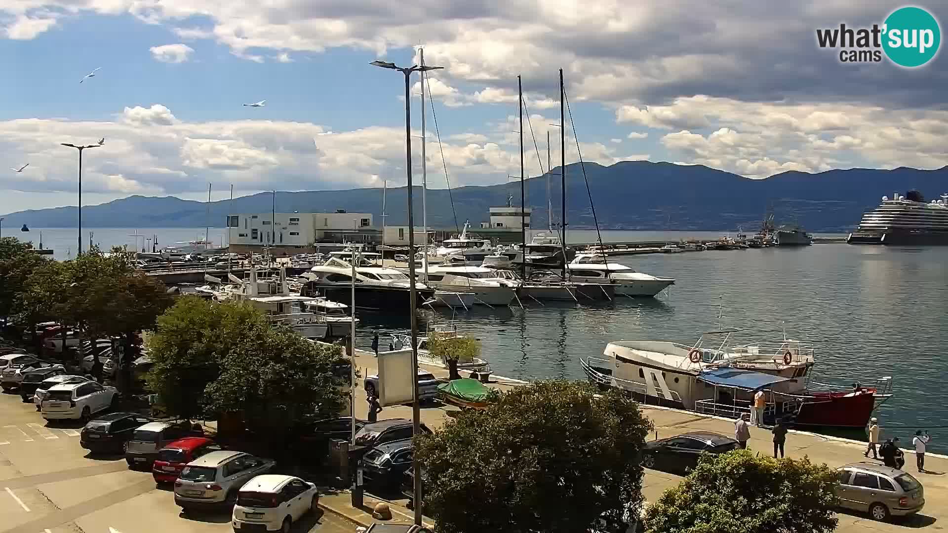 La Riva e la Marina a Rijeka (Fiume) – Live Webcam Croazia
