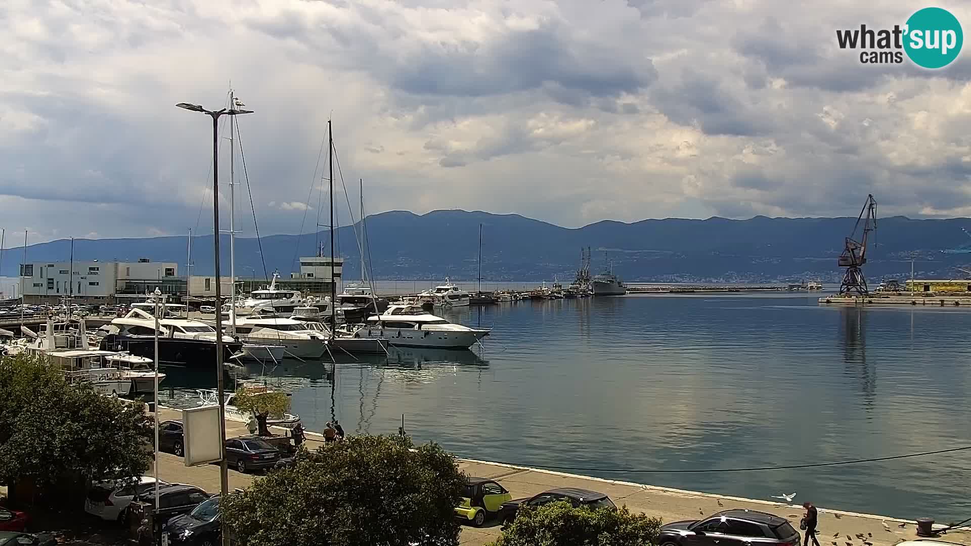 La Riva e la Marina a Rijeka (Fiume) – Live Webcam Croazia